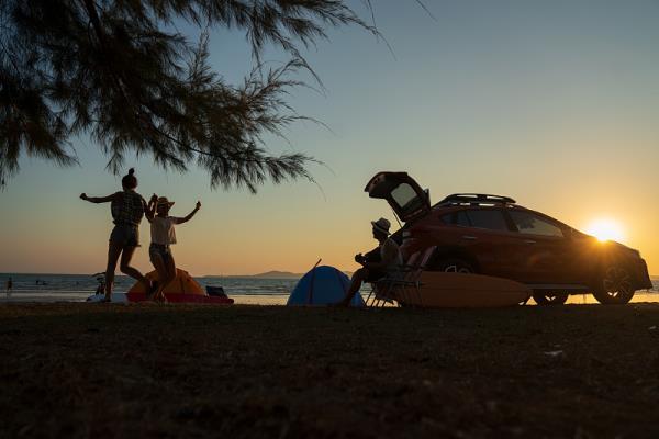 陕西堇女士有不用的车牌-【京G•03****】出租