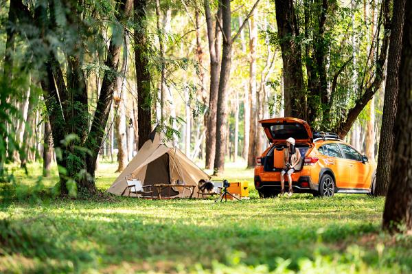 北京韦女士有闲置北京车牌-【京N•34***】出租