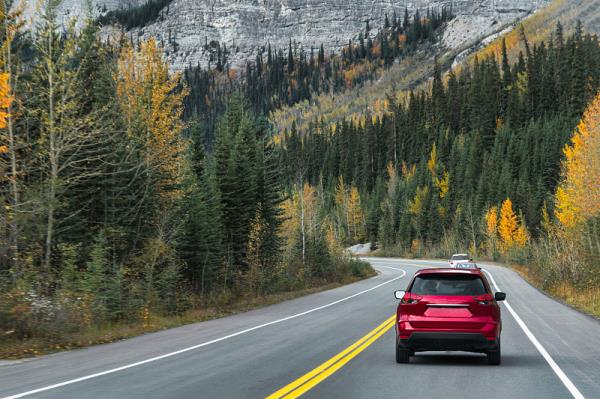 2026年京牌出租多少钱,3年,5年费用本站为您报价